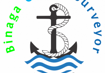 marine survey inspection services